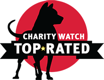 Charity Watch: Top Rated